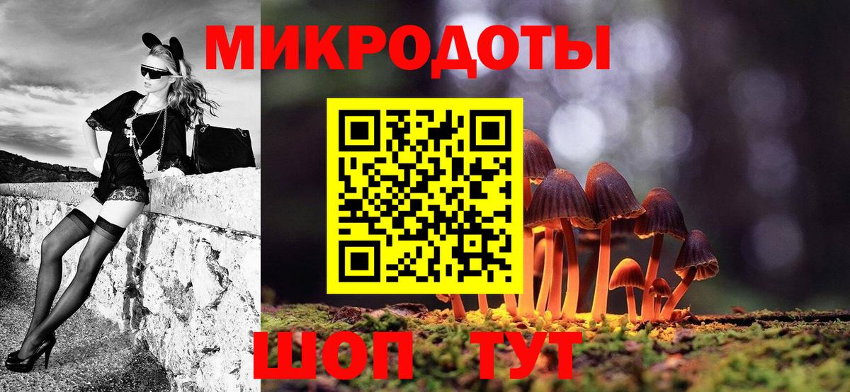 Псилоцибиновые грибы GOLDEN TEACHER  Вход с VPN  Гатчина  продажа наркотиков  Галлюциногенные грибы Magic Shrooms 